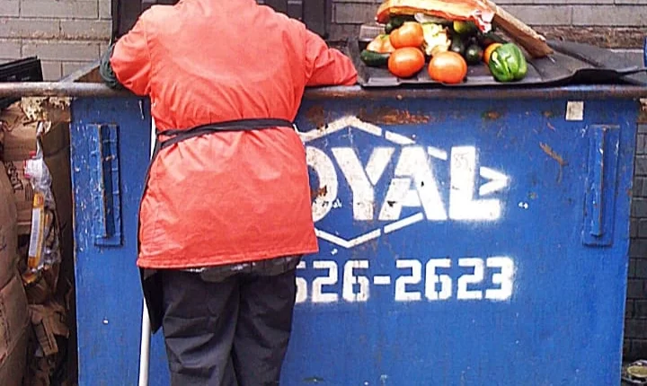 ডাম্পষ্টাৰ ডাইভিঙ